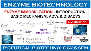 Enzyme Biotechnology  Enzyme Immobilization  L2 U1  Pharmaceutical Biotechnology 6th sem [upl. by Drofnas]