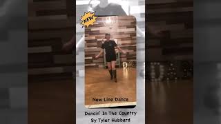 Learn the dance  httpswwwcopperknobcoukstepsheetsdancininthecountryID163161aspx [upl. by Terraj]