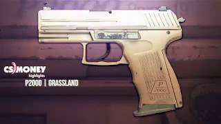 CSGO  P2000  Grassland [upl. by Sualakcin]