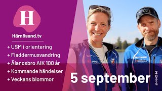 Härnösandtv  5 september 2024 [upl. by Nevin]