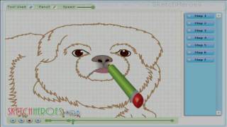 How to draw Pekingese DOG  drawing tutorial video [upl. by Idnahs]