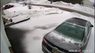 Dance of the Snowflakes Mesmerizing Snowfall Timelapse in Oromocto New Brunswick ❄️🌨️ [upl. by Kurys897]