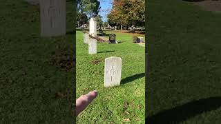 The Haunting Significance of Military Cemeteries [upl. by Eadahs]