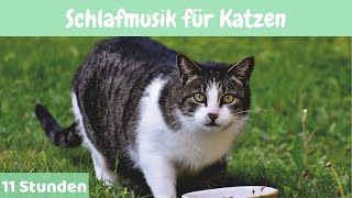 15  11 Stunden 🐱Schlafmusik für Katzen 🐱Entspannende Musik für Katzen und Kätzchen 🐱 [upl. by Ramgad]