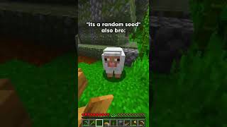 Bro its a random seed The seed 💀 minecraft shorts minecraft [upl. by Alpheus]