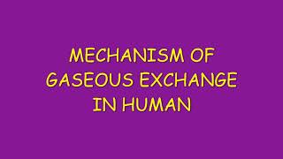 MECHANISM OF GASEOUS EXCHANGE IN HUMANS [upl. by Uhthna]