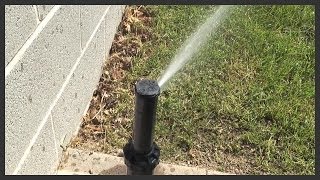 How to raiseelevate a sprinkler head [upl. by Norad]