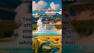 Proverbs 1810 jesusbible jesus youtubeshorts jesusmusic motivation god love [upl. by Norab]