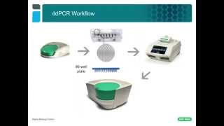 Droplet Digital™ PCR Tips amp Tricks ddPCR™ Assay Design [upl. by Epillihp]