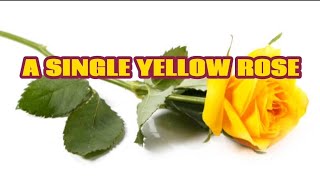 A SINGLE YELLOW ROSE KARAOKE By ISLA GRANT [upl. by Arleyne]