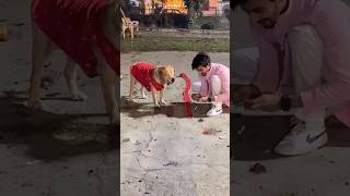 Happy Diwali shorttrending funny comedyvideos [upl. by Odey]