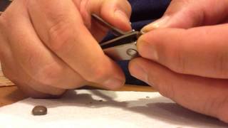 Jatropha seed scarification using toenail clippers [upl. by Noroj816]