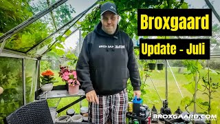 Broxgaard Update  Juli [upl. by Ecilayram]