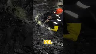 ASÍ ES LA MINERíA DE CARBÓN 😲😲 curiosidades [upl. by Ahsikan535]