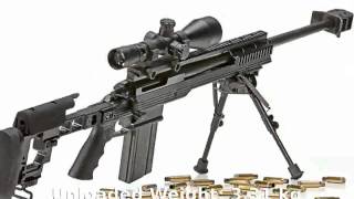 ArmaLite AR30A1 338 Lapua STD Rifle Fixed Stock 338 Lapua Rifle Full Specs and Features [upl. by Haidedej]