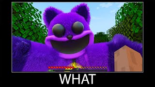 Minecraft wait what meme part 328 realistic minecraft Smiling Critters [upl. by Ward687]