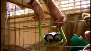 Kermit Swamp Years Blooper 2 [upl. by Anitahs]