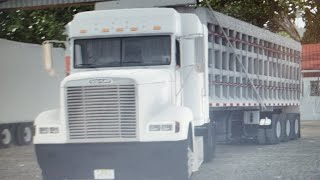 freightliner FLD120 [upl. by Kowalski773]