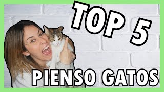 LOS MEJORES PIENSOS PARA GATOS 💯 TOP 5️⃣ de comida SECA para GATOS 🐱 [upl. by Ainud992]