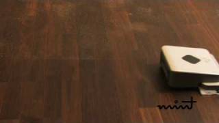 Mint Automatic Floor Cleaner Overview [upl. by Favata11]