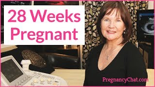 quot28 Weeks Pregnantquot by PregnancyChatcom PregChat [upl. by Anay239]