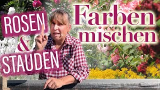 Wie Sie ROSEN amp STAUDEN zu den schönsten FARBKombinationen zusammen stellen  Landhaus Ettenbühl [upl. by Surat510]