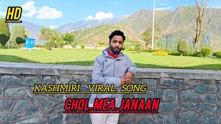 Chol Mea Janaan ll Suhail Fayaz Shilwati ll Kashmiri Sad Song ll viralsongs [upl. by Aronos284]