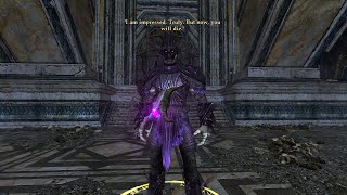 LOTRO Лотро  Brawler 140 lvl AoD и HoR [upl. by Ylagam392]