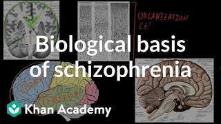 Biological basis of schizophrenia  Behavior  MCAT  Khan Academy [upl. by Evante]