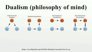 Dualism philosophy of mind [upl. by Ahsa]