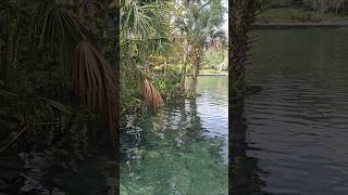 Wekiwa Springs Florida [upl. by Neufer]