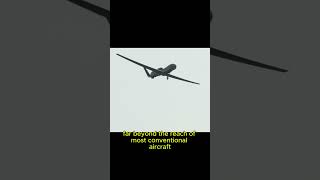 The RQ4 Global Hawk Eyes in the Sky plane drone airplane aircraft military shorts short [upl. by Hamrnand167]