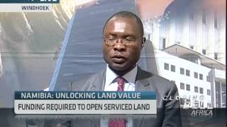 Land Reform in Namibia with Ipumbu Shiimi [upl. by Yesdnik399]