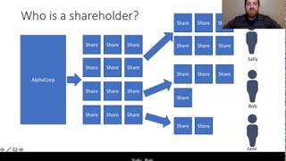 Shareholder Theory Explained [upl. by Wearing]