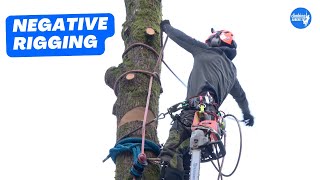 How to rig sections of trunk onto itself  Arborist Rigging techniques [upl. by Henni]