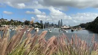 SLOMO Waverton Park Bay slow motion view [upl. by Talya225]