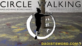 Circle Walking Bagua Biomechanics Level 1 Trailer 1 [upl. by Nesyla]