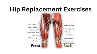 Hip Replacement Exercises first day [upl. by Delisle]