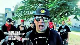 Mucho Brillo Intro Real Pauta  J Alvarez Arcangel Yomo Ñengo Flow Ñejo Dalmata amp Mas [upl. by Thia]