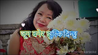 Kahile Pritiko Phool कहिले प्रितीको फूल बनेर Karaoke with Lyrics [upl. by Avera]