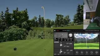 1000 Best Golf Simulators At Home and Putters for 2021 [upl. by Lorena691]