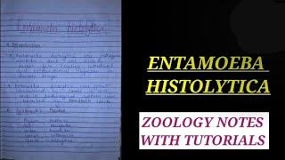 ENTAMOEBA HISTOLYTICA IN HINDI ZOOLOGYNOTES medicalzoologynotes entamoebahistolyticanotes bbmku [upl. by Irakab610]