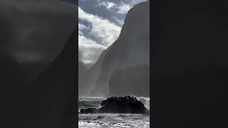 This beach is often considered one of the most beautiful in Europe  Madeira  Portugal [upl. by Marigolda]