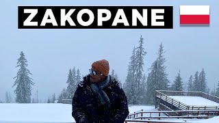 Escape to Zakopane Winter Adventures in Polands Alpine Gem [upl. by Anirhtak]