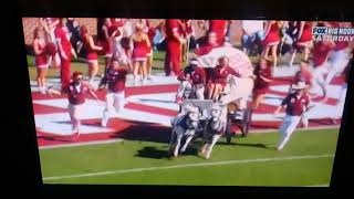 Oklahoma Sooners wagon flips over [upl. by Erolyat]