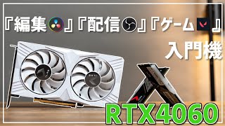 動画編集にも、ゲームにも、配信の入門に持って来い！エントリーGPU PNY RTX 4060 OC XLR8 VERTO【レビュー動画】 [upl. by Ennaira]