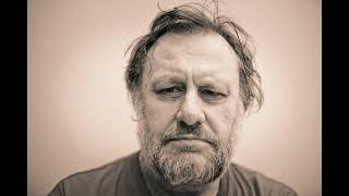 Slavoj Žižek – The Trouble with Heidegger In Defense of Lost Causes 2008 [upl. by Baruch53]