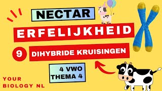 4 vwo  Erfelijkheid  9  Dihybride kruisingen [upl. by Dachy]