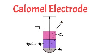 Calomel Electrode Construction and Working Problem [upl. by Tracy802]