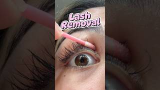 Lash extensions lashextensions lashes lash shortsvideo shortviral shortsfeed shorts short [upl. by Duyne774]